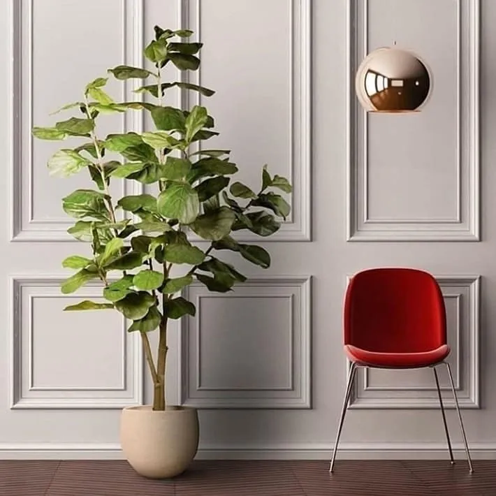 معلم فوم جدران, براويز فوم, بانوهات في حي النسيم بجدة 