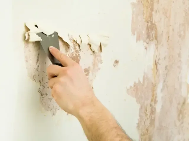 أحدث دهانات الديكورات ورق الجدران في 2026 بين الهدوء والجرأة