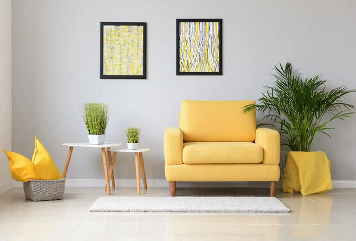 صورة توضيحية